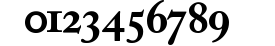 Caslon Pro Black SSi Bold preview