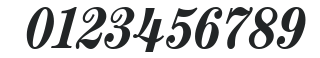 Century Condensed Bold Italic numbers preview
