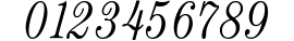 Century Light Condensed SSi Light Condensed Italic preview