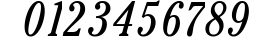 Cheltenham Condensed SSi Condensed Italic preview