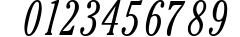 CheltenhamLightCondSSK Italic preview