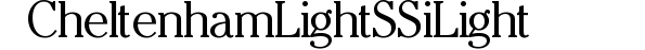 Cheltenham Light SSi Light preview