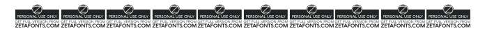 Cocogoose Compressed Trial Bold numbers preview