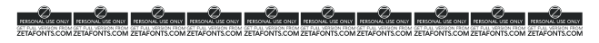 Cocogoose Compressed Trial Light Italic numbers preview