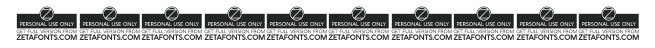 Cocogoose Compressed Trial Thin numbers preview