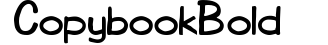 Copybook  Bold preview