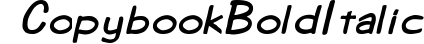 Copybook  Bold Italic preview