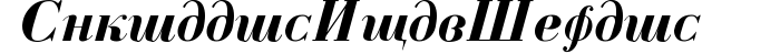 Cyrillic-Bold-Italic preview