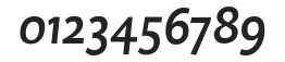 DTLCaspariSTMedium-Italic numbers preview