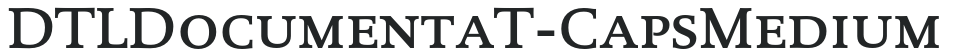 DTLDocumentaT-CapsMedium preview