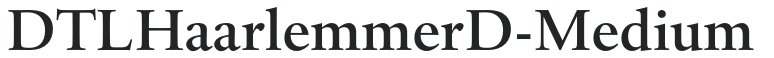 DTLHaarlemmerD-Medium letters preview