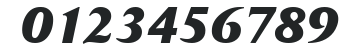 DaylightExtrabold-RegularItalic numbers preview