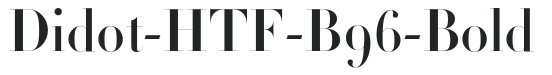 Didot-HTF-B96-Bold preview