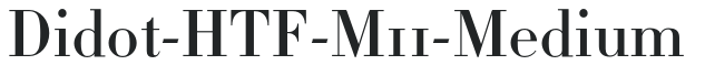 Didot-HTF-M11-Medium preview