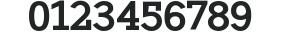 ETH Serif Black preview