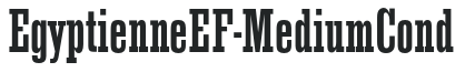 EgyptienneEF-MediumCond preview