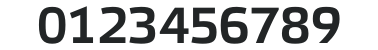 Elektra Mono Pro Bold numbers preview