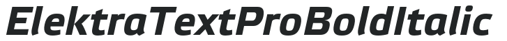 Elektra Text Pro Bold Italic preview