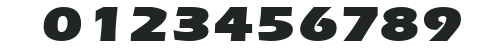 Ergoe-Mild Black Expanded numbers preview