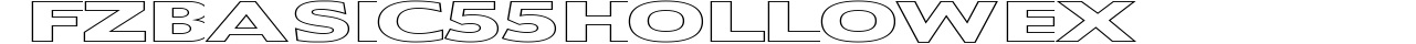 FZ BASIC 55 HOLLOW EX preview