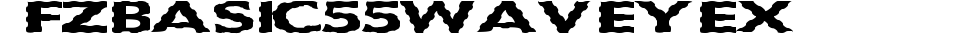 FZ BASIC 55 WAVEY EX preview