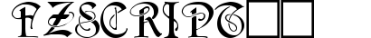 FZ SCRIPT 14 preview