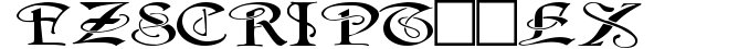 FZ SCRIPT 14 EX preview