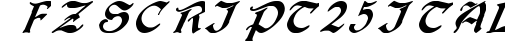 FZ SCRIPT 25 ITALIC preview
