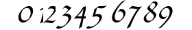 Fiorne Italic preview
