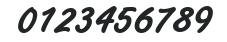 Freestyle Script EF Bold numbers preview