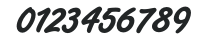 Freestyle Script Std Bold numbers preview
