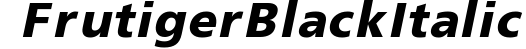 Frutiger Black Italic preview