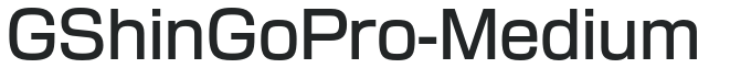 GShinGoPro-Medium preview