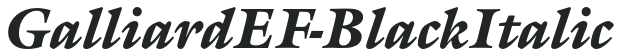 GalliardEF-BlackItalic preview