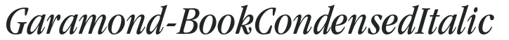 Garamond-BookCondensedItalic preview
