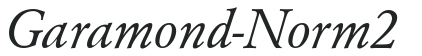 Garamond-Norm 2 preview