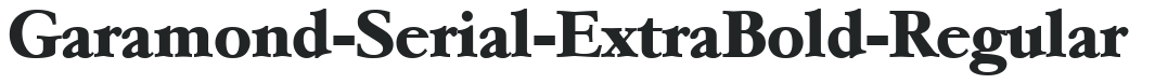 Garamond-Serial-ExtraBold-Regular preview