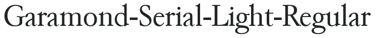 Garamond-Serial-Light-Regular preview