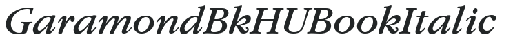 Garamond BkHU Book Italic preview
