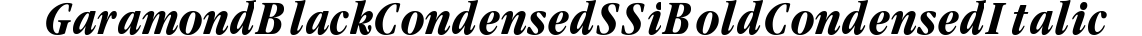 Garamond Black Condensed SSi Bold Condensed Italic preview