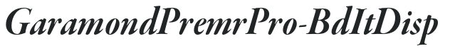 GaramondPremrPro-BdItDisp preview