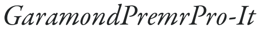 GaramondPremrPro-It preview