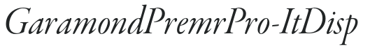 GaramondPremrPro-ItDisp preview