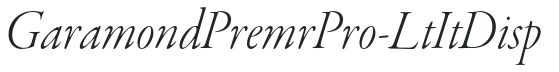 GaramondPremrPro-LtItDisp preview