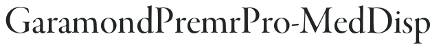 GaramondPremrPro-MedDisp preview