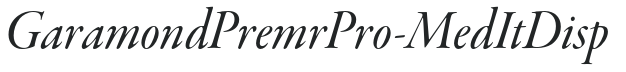 GaramondPremrPro-MedItDisp preview