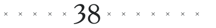 GoudY38BookTab preview
