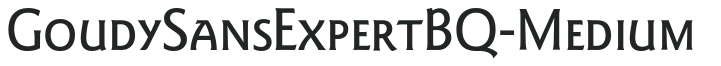 GoudySansExpertBQ-Medium preview
