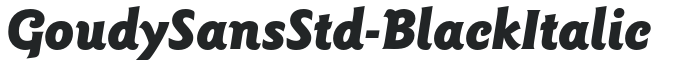 GoudySansStd-BlackItalic preview