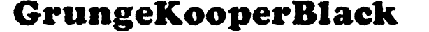 Grunge Kooper Black preview